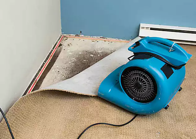 Your Water Damage Experts in Decatur, GA