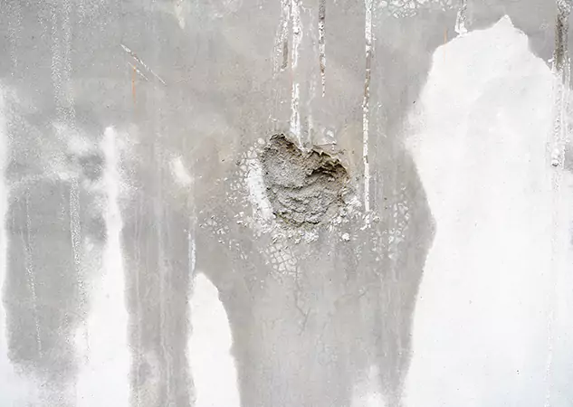Your Mold Mitigation Solutions Partner in Decatur, GA