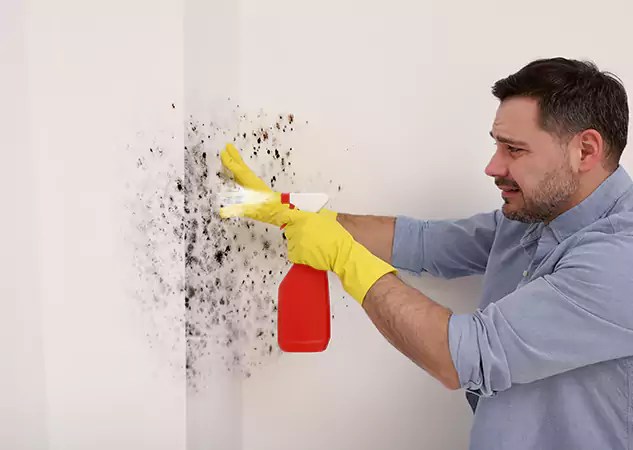 Your Water Mold Fire Restoration Partner in Decatur, GA