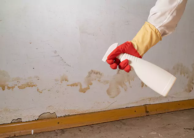 Your Water Restoration and Mold Remediation Specialists in Decatur, GA