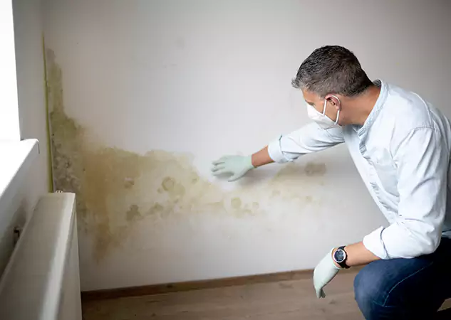 Reach Our Remediation Team Before Damage Grows in Decatur, GA!