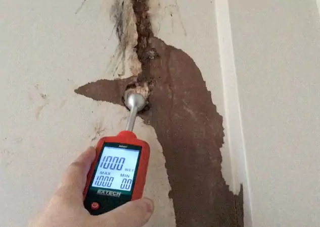 Your Water Damage Assessment Partner in Decatur, GA