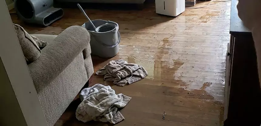Professional Basement Water Remediation Services in Decatur, GA