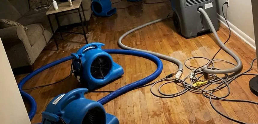 Basement Flood Restoration Services in Decatur