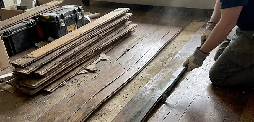 Wood Rot and Fungus Repair in Decatur