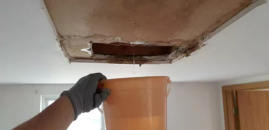 Ceiling Mold Repair Decatur 