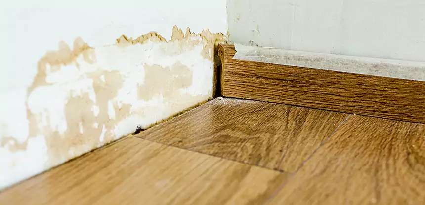 Professional Fix Water Damaged Wood Services in Decatur, GA