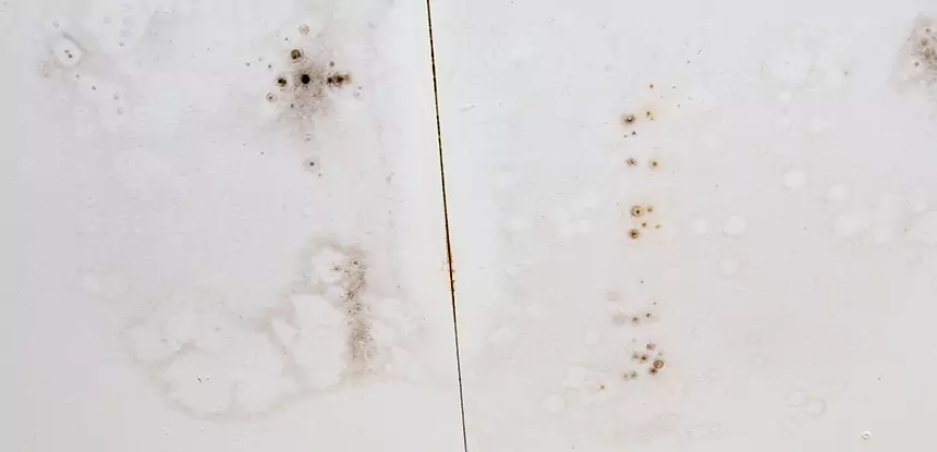 Professional Water Stain Repair Services in Decatur, GA