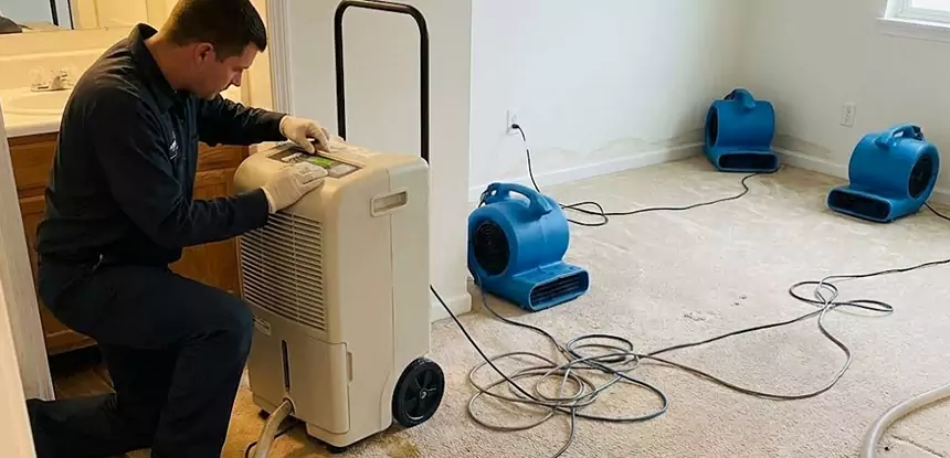 Professional Wet Carpet Removal Services in Decatur, GA