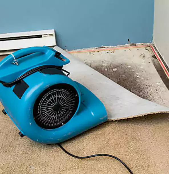 Why Decatur Trusts Decatur Restoration Pro for Carpet Flood Recovery?