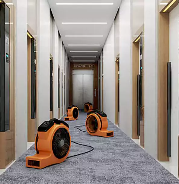 Why Decatur Trusts Decatur Restoration Pro?