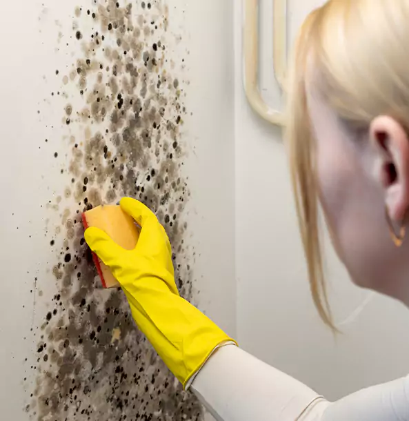 Why Decatur Restoration Pro Leads Mold Remediation in Decatur?