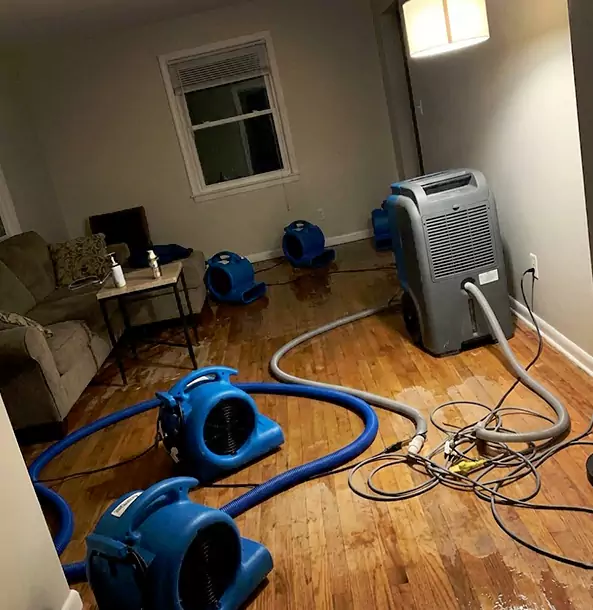 Why Decatur Property Owners Rely on Decatur Restoration Pro for Remediation?