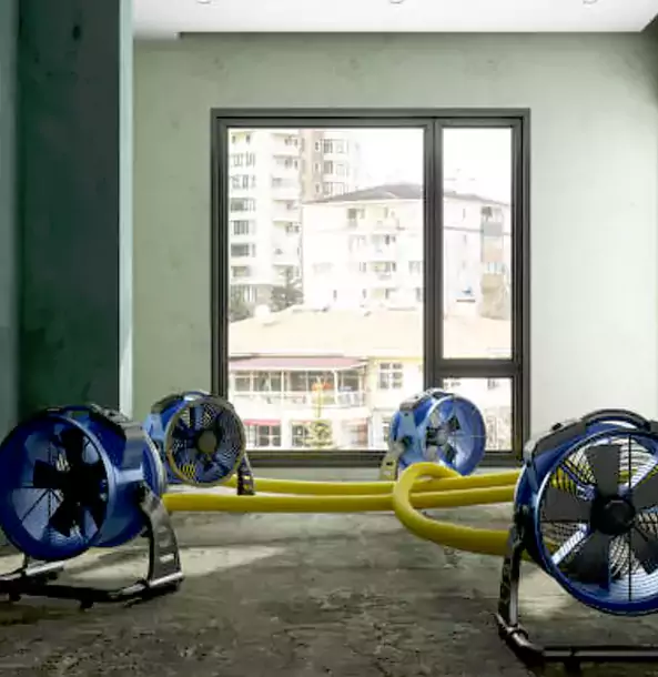 Why Decatur Property Owners Trust Decatur Restoration Pro for Water Damage Drying?