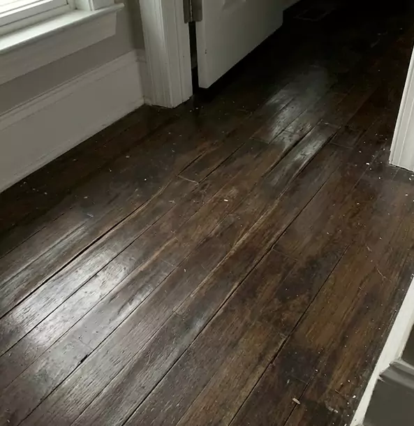 Why Decatur Homeowners Trust Decatur Restoration Pro to Fix Water Damaged Wood?