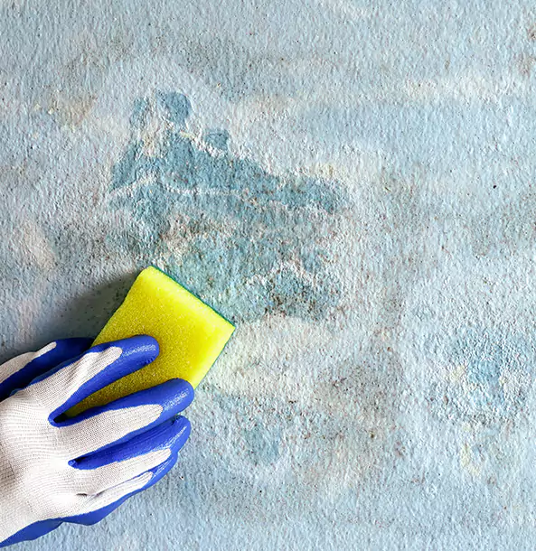 Why Decatur Restoration Pro Is the Right Choice in Decatur, GA?