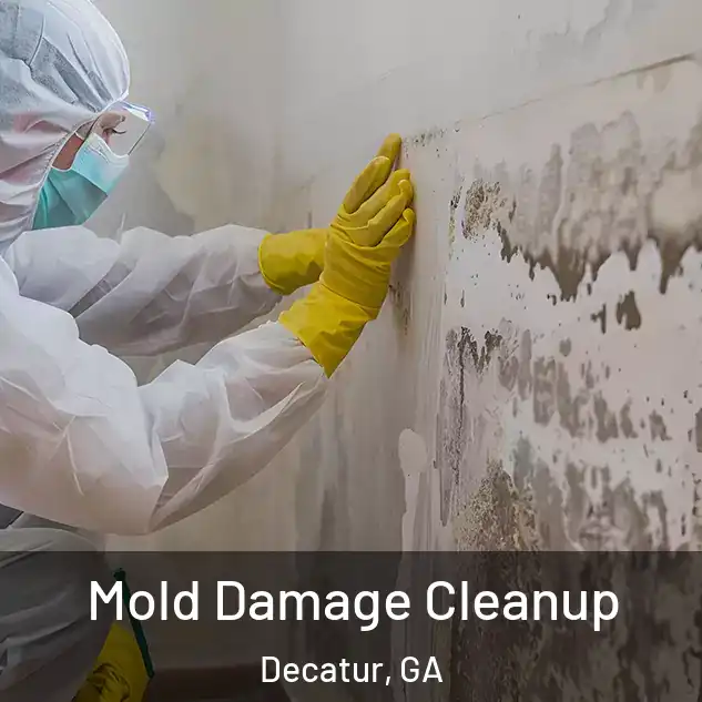  Mold Damage Cleanup Decatur, GA