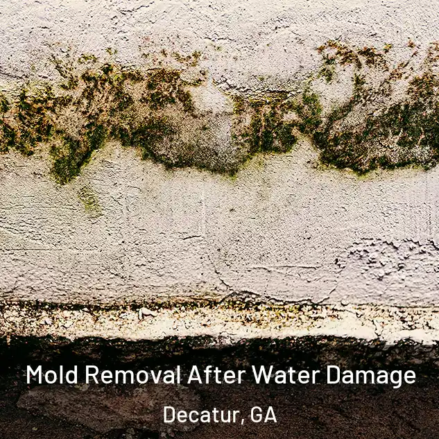 Mold Removal After Water Damage Decatur, GA