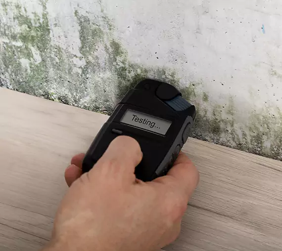 Mold Remediation Service Decatur