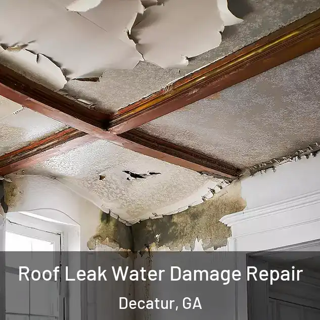  Roof Leak Water Damage Repair Decatur, GA