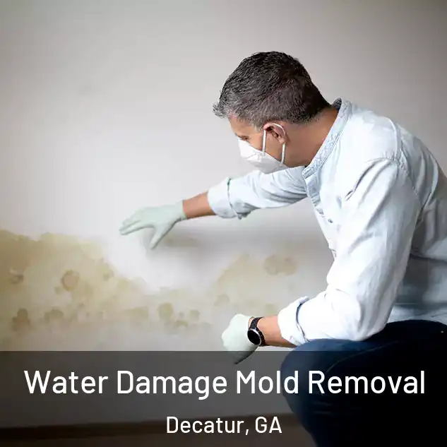  Water Damage Mold Removal Decatur, GA
